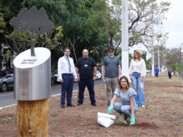 Dia da Árvore: TJ engaja servidores em ações sustentáveis e de conscientização ambiental Imagem notícia Dia da Árvore: TJ engaja servidores em ações sustentáveis e de conscientização ambiental