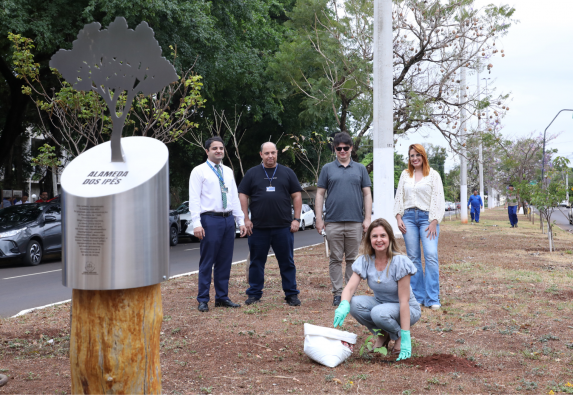 Dia da Árvore: TJ engaja servidores em ações sustentáveis e Imagem notícia Dia da Árvore: TJ engaja servidores em ações sustentáveis e de conscientização ambiental