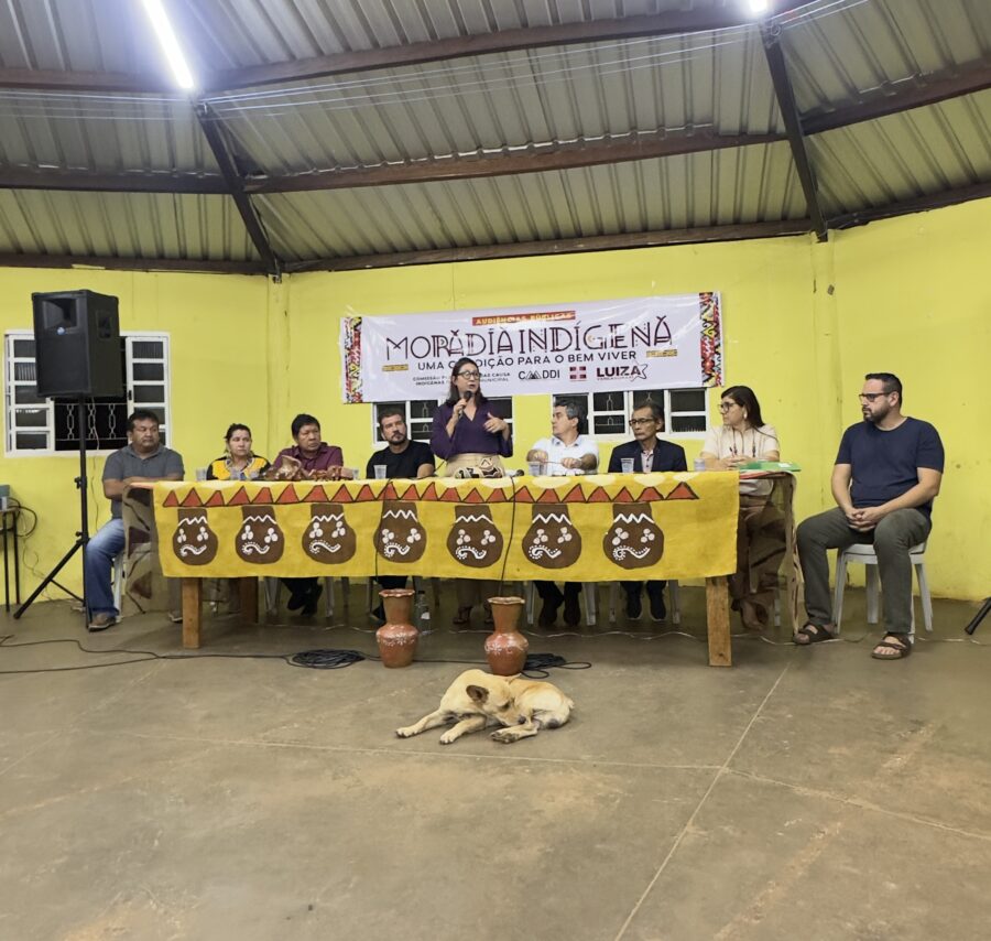 Luiza avalia como positiva a primeira Audiência Pública sobre Moradia Luiza avalia como positiva a primeira Audiência Pública sobre Moradia Indígena realizada na Aldeia Água Bonita - Câmara Municipal de Campo Grande