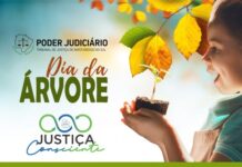 TJMS promove entrega de mudas em comemoração ao Dia da Árvore Imagem notícia TJMS promove entrega de mudas em comemoração ao Dia da Árvore