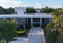 TJMS realiza leilão eletrônico com mais de 11 mil itens e veículos Imagem notícia TJMS realiza leilão eletrônico com mais de 11 mil itens e veículos