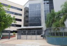 Casal será indenizado por desaparecimento de cachorra em hotel para animais Imagem notícia Casal será indenizado por desaparecimento de cachorra em hotel para animais