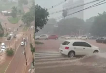 Em meio à forte chuva, vereador Fábio Rocha destaca aprovação da Lei “Cidade-Esponja” em Campo Grande – Câmara Municipal de Campo Grande Em meio à forte chuva, vereador Fábio Rocha destaca aprovação da Lei “Cidade-Esponja” em Campo Grande - Câmara Municipal de Campo Grande