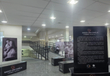Exposição “Nasce uma Famíliaâ€� chega em Três Lagoas Imagem notícia Exposição “Nasce uma Família” chega em Três Lagoas
