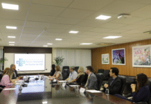 Grupo de trabalho do TJ alinha ações para agilizar pedidos de providências na saúde Imagem notícia Grupo de trabalho do TJ alinha ações para agilizar pedidos de providências na saúde