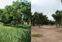 Solicitação por limpeza no Bosque dos Zapata’s é atendida com agilidade por Rafael Tavares – Câmara Municipal de Campo Grande Solicitação por limpeza no Bosque dos Zapata’s é atendida com agilidade por Rafael Tavares - Câmara Municipal de Campo Grande