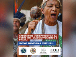 TJMS lança Caderno de Jurisprudência da Corte IDH sobre casos envolvendo o Brasil TJMS lança Caderno de Jurisprudência da Corte IDH sobre casos envolvendo o Brasil