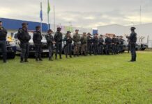 OPERAÇÃO FALCÃO I/2026 APREENDE DROGAS, ARMAS E MERCADORIAS ILEGAIS NO MEIO RURAL DE MS OPERAÇÃO FALCÃO I/2026 APREENDE DROGAS, ARMAS E MERCADORIAS ILEGAIS NO MEIO RURAL DE MS