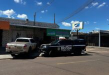 Polícia Civil e IAGRO/MS realizam operação em peixarias da Capital, contra possível comercialização de pescado irregular Polícia Civil e IAGRO/MS realizam operação em peixarias da Capital, contra possível comercialização de pescado irregular