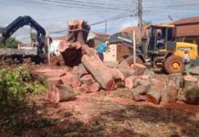 Papy apresenta mais de 40 indicações em fevereiro para melhorias em todas as regiões da Capital – Câmara Municipal de Campo Grande Papy apresenta mais de 40 indicações em fevereiro para melhorias em todas as regiões da Capital - Câmara Municipal de Campo Grande