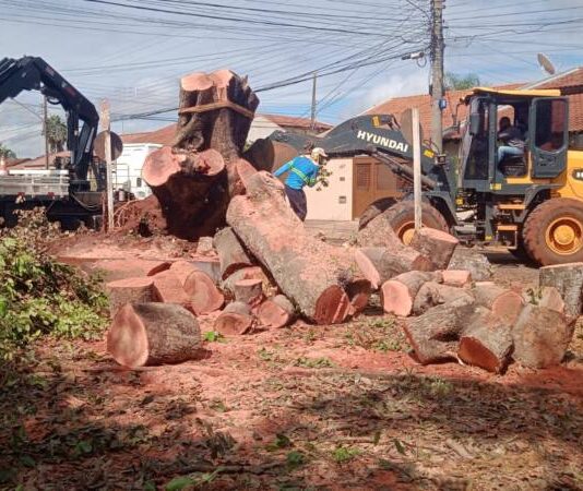 Papy apresenta mais de 40 indicações em fevereiro para melhorias em todas as regiões da Capital – Câmara Municipal de Campo Grande Papy apresenta mais de 40 indicações em fevereiro para melhorias em todas as regiões da Capital - Câmara Municipal de Campo Grande