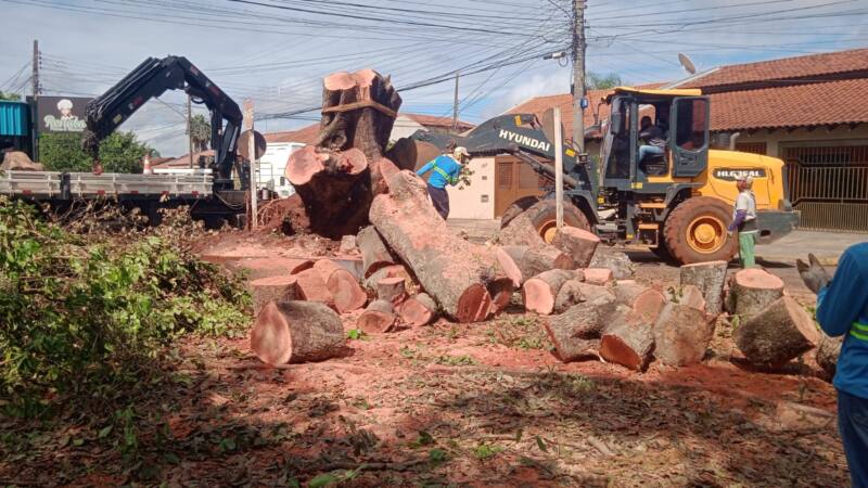 Papy apresenta mais de 40 indicações em fevereiro para melhorias Papy apresenta mais de 40 indicações em fevereiro para melhorias em todas as regiões da Capital - Câmara Municipal de Campo Grande