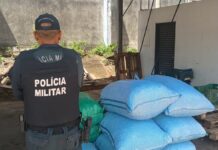 Polícia Militar reforça fiscalização na fronteira e apreende carga irregular em Corumbá. Polícia Militar reforça fiscalização na fronteira e apreende carga irregular em Corumbá.