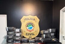 Polícia Civil apreende 1.600 kg de maconha e recupera veículo furtado em Mundo Novo Polícia Civil apreende 1.600 kg de maconha e recupera veículo furtado em Mundo Novo