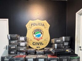 Polícia Civil apreende 1.600 kg de maconha e recupera veículo furtado em Mundo Novo Polícia Civil apreende 1.600 kg de maconha e recupera veículo furtado em Mundo Novo