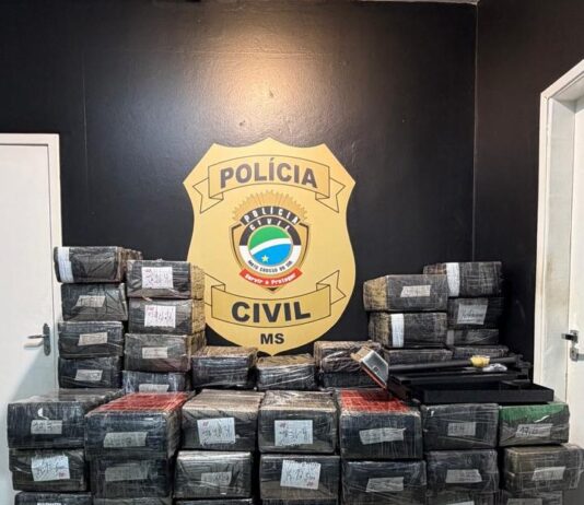 Polícia Civil apreende 1.600 kg de maconha e recupera veículo furtado em Mundo Novo Polícia Civil apreende 1.600 kg de maconha e recupera veículo furtado em Mundo Novo