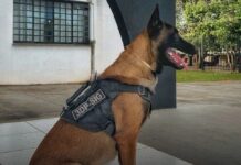 Polícia Civil prende suspeito por tráfico de drogas no bairro Imperial, em Campo Grande Polícia Civil prende suspeito por tráfico de drogas no bairro Imperial, em Campo Grande