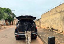 Polícia Civil de Mato Grosso do Sul participa da Operação Nacional Proteção Integral IV e realiza prisões por crimes de abuso sexual infantil Polícia Civil de Mato Grosso do Sul participa da Operação Nacional Proteção Integral IV e realiza prisões por crimes de abuso sexual infantil