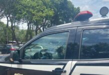 Em apoio à PCMS, Polícia Civil do Mato Grosso prende condenada por tráfico de drogas Em apoio à PCMS, Polícia Civil do Mato Grosso prende condenada por tráfico de drogas