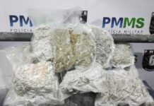Polícia Militar Prende autor com 18 kg de ‘Skunk’ na Rodoviária de Corumbá. Polícia Militar Prende autor com 18 kg de ‘Skunk’ na Rodoviária de Corumbá.