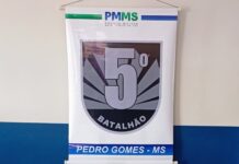 Polícia Militar prende homem por furto e porte ilegal de arma de fogo em Pedro Gomes Polícia Militar prende homem por furto e porte ilegal de arma de fogo em Pedro Gomes