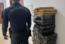 Polícia Militar em Brasilândia realiza apreensão de 216 quilos de maconha e a prisão de autores de tráfico Polícia Militar em Brasilândia realiza apreensão de 216 quilos de maconha e a prisão de autores de tráfico