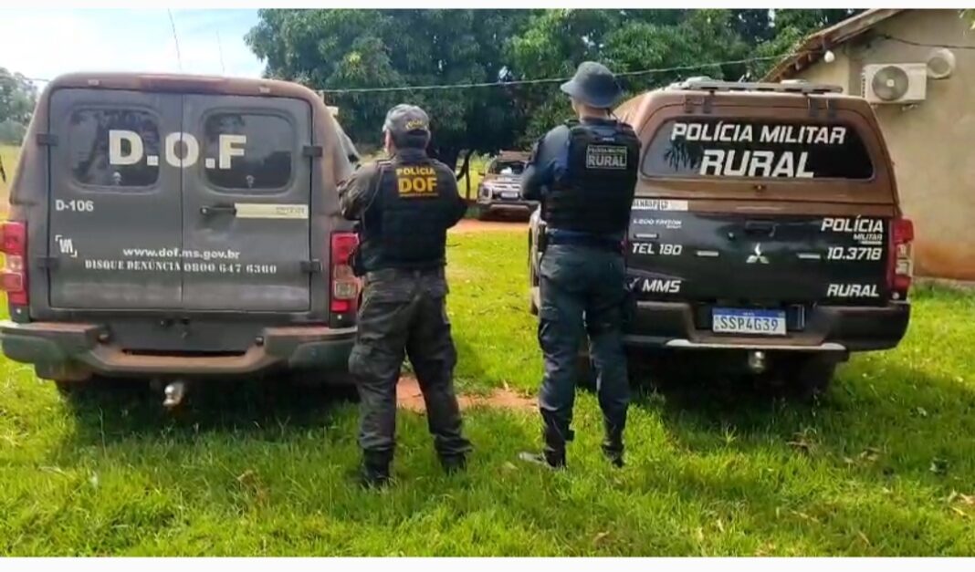 PMMS recupera 34 cabeças de gado furtadas durante ação integrada em Maracaju e Dois Irmãos do Buriti
