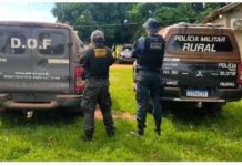PMMS recupera 34 cabeças de gado furtadas durante ação integrada em Maracaju e Dois Irmãos do Buriti PMMS recupera 34 cabeças de gado furtadas durante ação integrada em Maracaju e Dois Irmãos do Buriti