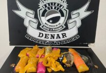 Investigação da Polícia Civil leva à apreensão de drogas enviada por transportadora em Campo Grande Investigação da Polícia Civil leva à apreensão de drogas enviada por transportadora em Campo Grande