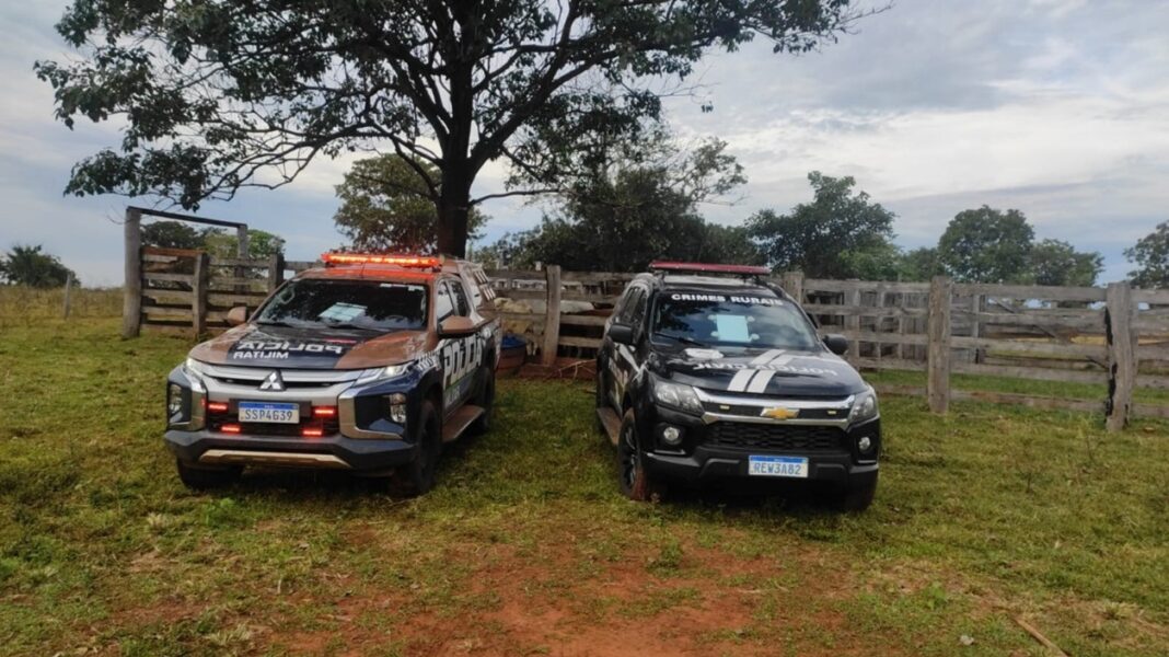 Operação conjunta do Batalhão de Polícia Militar Rural recupera 64 cabeças de gado em Dois irmãos do Buriti