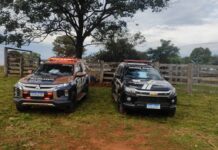 Operação conjunta do Batalhão de Polícia Militar Rural recupera 64 cabeças de gado em Dois irmãos do Buriti Operação conjunta do Batalhão de Polícia Militar Rural recupera 64 cabeças de gado em Dois irmãos do Buriti