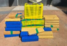 Polícia Civil apreende 80 quilos de maconha e munições durante operação em Ponta Porã Polícia Civil apreende 80 quilos de maconha e munições durante operação em Ponta Porã