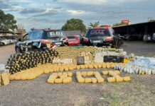 Polícia Civil apreende mais de 880 quilos de drogas e prende foragido da justiça em Campo Grande Polícia Civil apreende mais de 880 quilos de drogas e prende foragido da justiça em Campo Grande