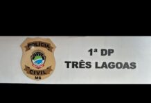 Polícia Civil identifica autor de furto qualificado em Três Lagoas Polícia Civil identifica autor de furto qualificado em Três Lagoas