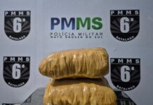Polícia Militar no Posto Lampião Aceso: Mulher de 22 anos é presa por tráfico de drogas em veículo de passageiros Polícia Militar no Posto Lampião Aceso: Mulher de 22 anos é presa por tráfico de drogas em veículo de passageiros