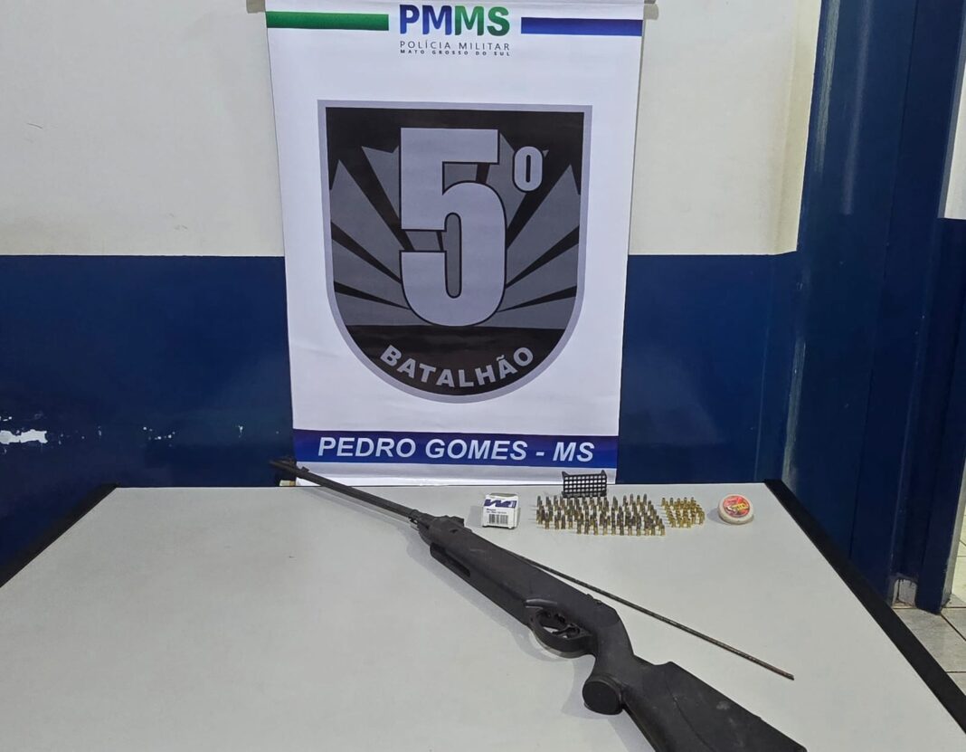 Polícia Militar prende homem por porte ilegal de arma em Pedro Gomes