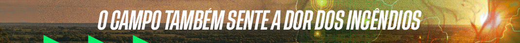P.I.: 25217 – SENAR – Combate a Incêndios 2026 – De 27/07 a 29/07