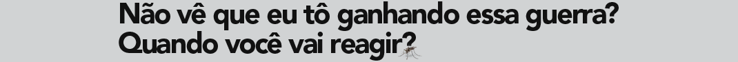 PI 5847 – Campanha Dengue II – De 03 a 19 de Agosto