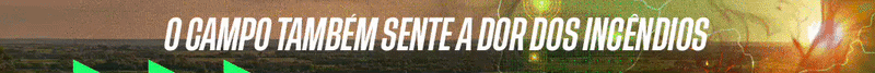Saude