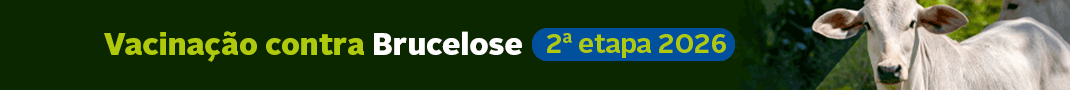 127 anos